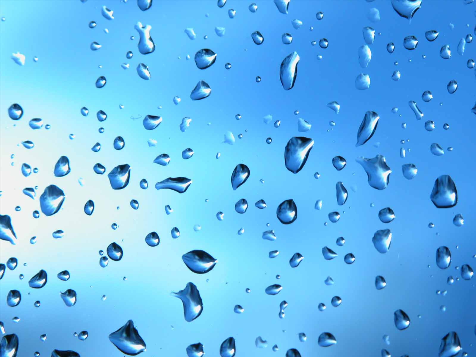 雨滴の壁紙,青い,水,落とす,水分,露