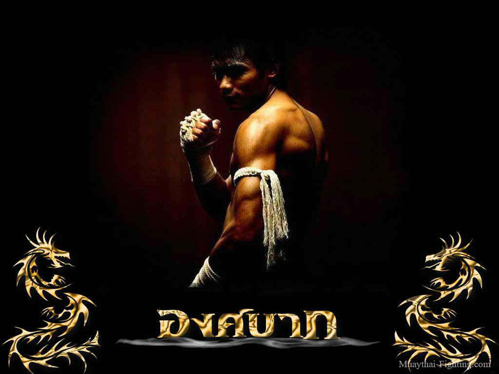 carta da parati tailandese muay,lottatore,muay thai,wrestling professionale,lotta,buio