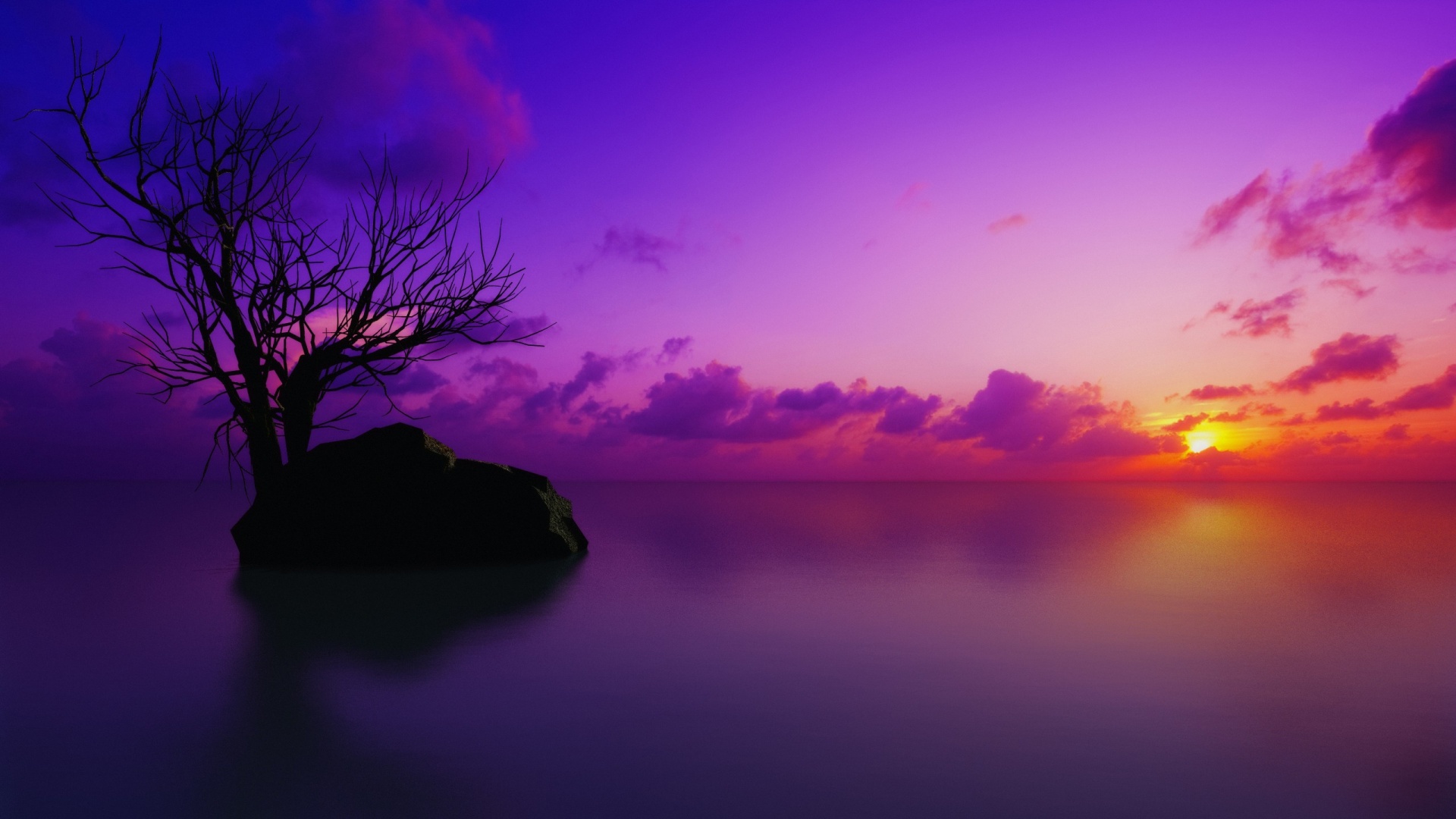 violet wallpaper,sky,nature,natural landscape,purple,violet