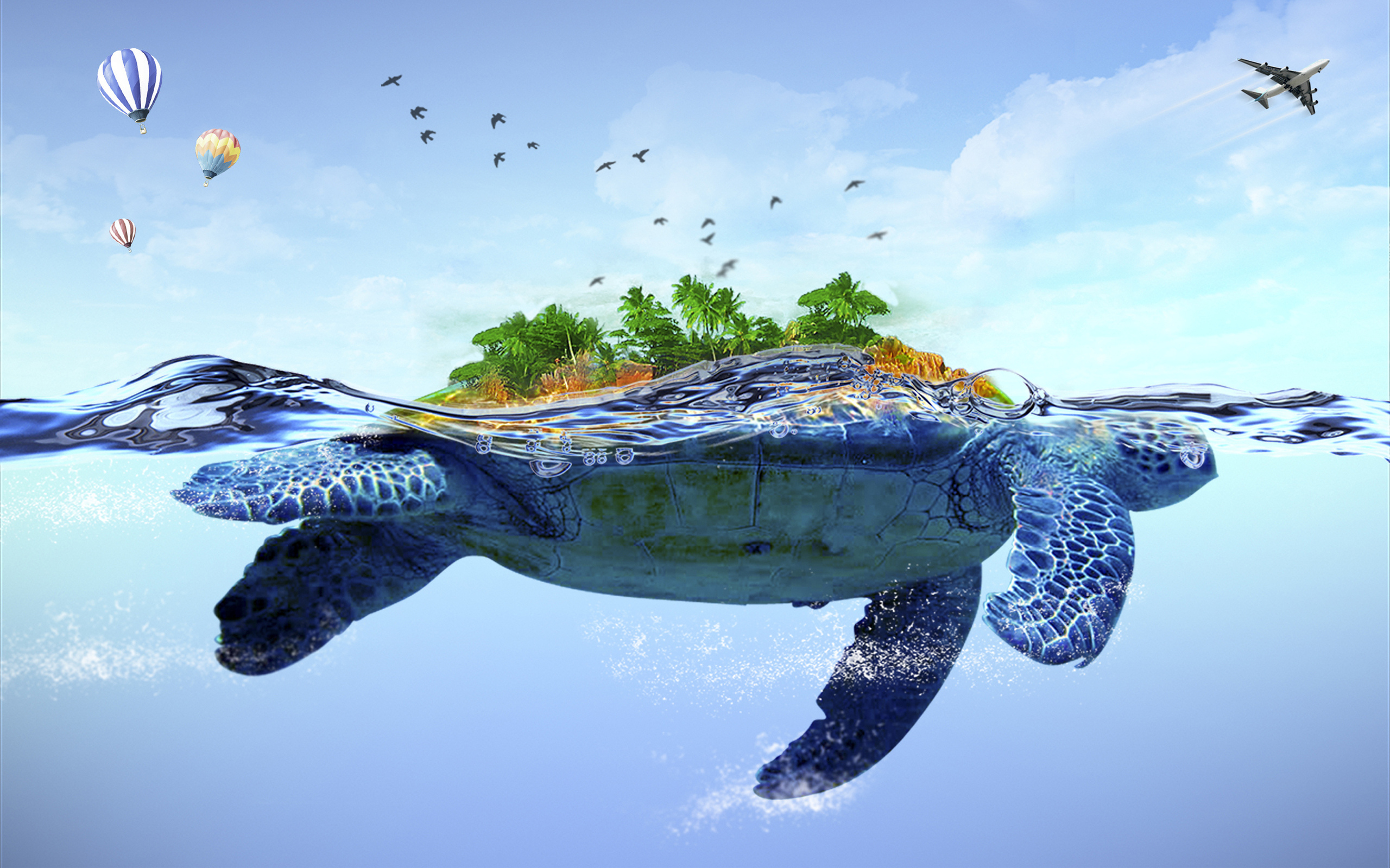 Fond D Ecran Bebe Tortue De Mer Tortue De Mer Tortue Imbriquee Tortue De Mer Olive Ridley Tortue Caouanne Tortue Verte Wallpaperuse