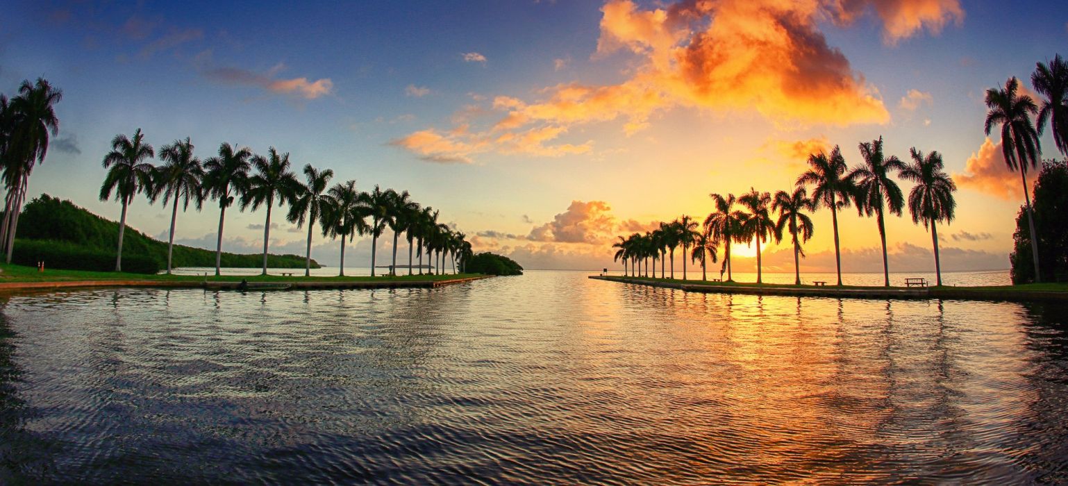 florida wallpaper,sky,nature,tree,horizon,natural landscape