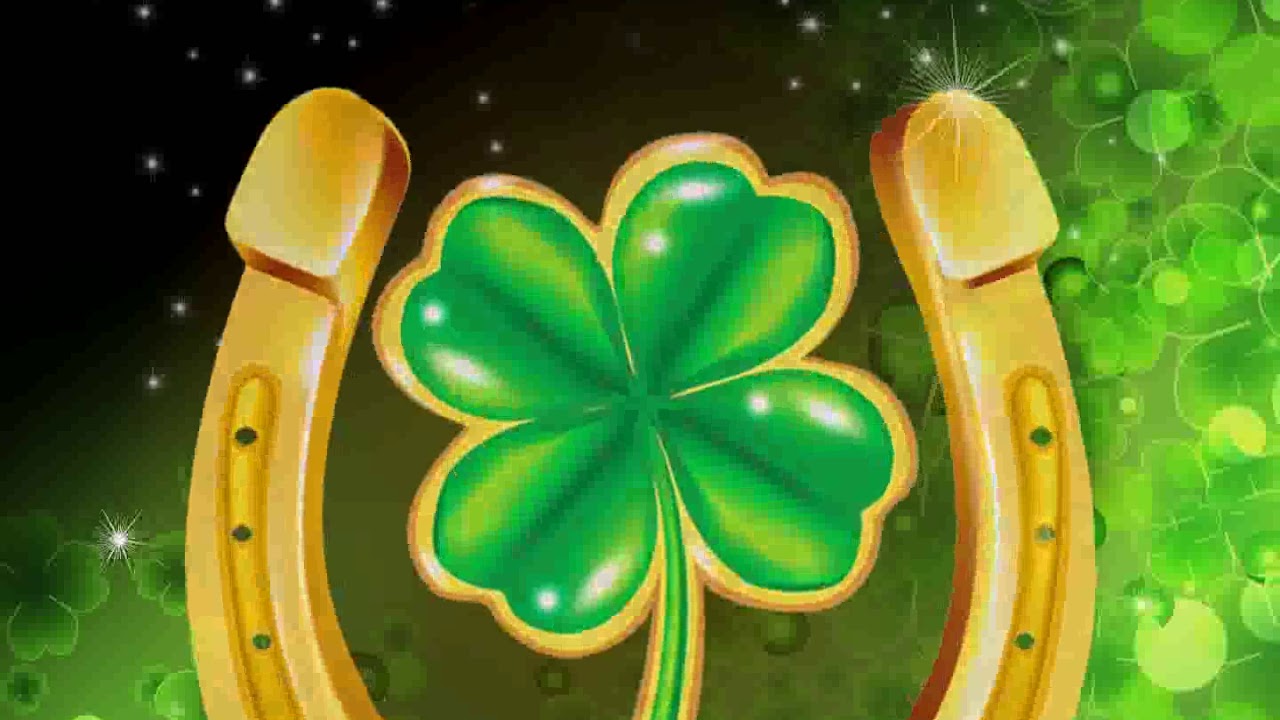 theme live wallpaper,green,shamrock,clover,symbol,leaf