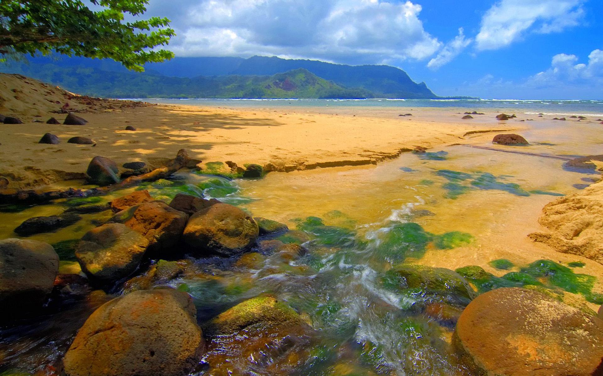 ciao carta da parati,paesaggio naturale,natura,riva,acqua,costa