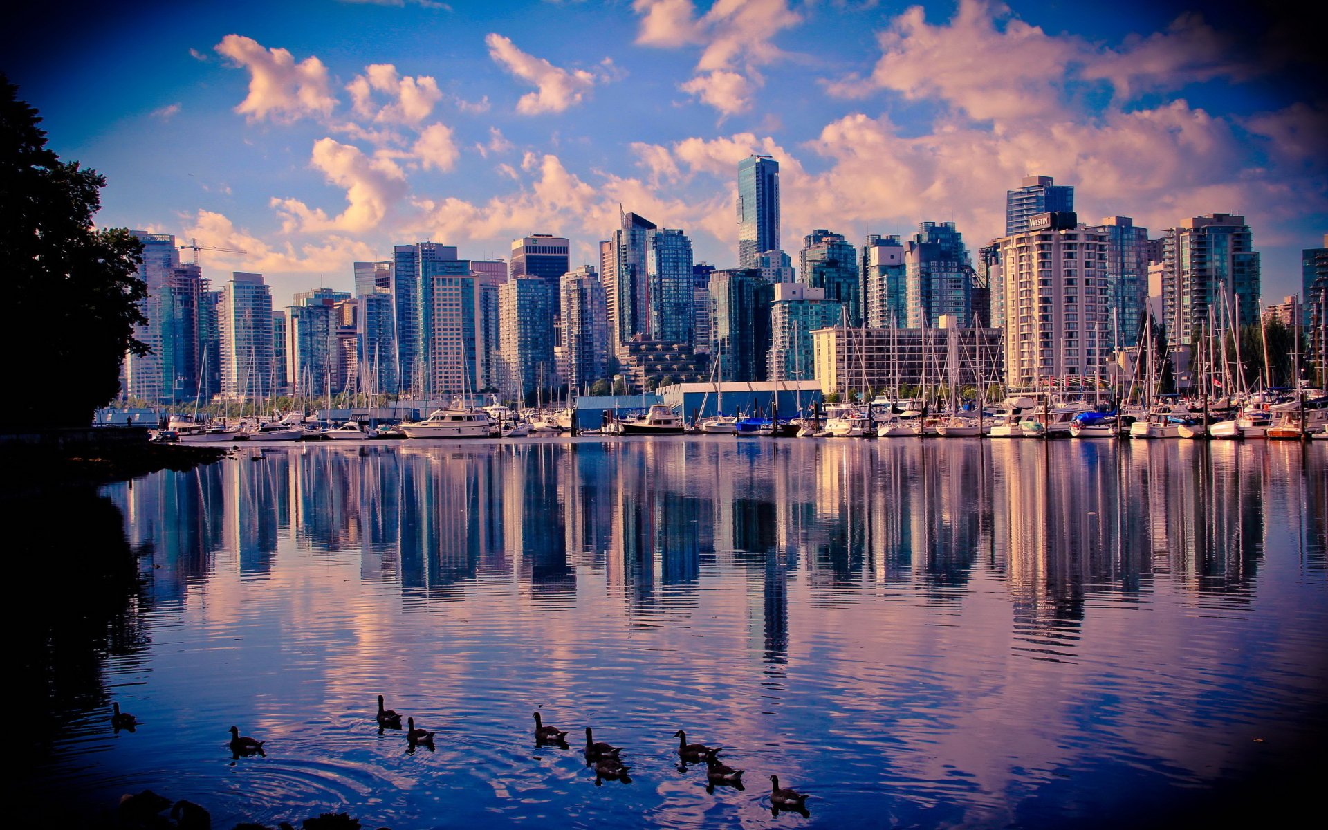 fondo de pantalla de vancouver,paisaje urbano,reflexión,ciudad,horizonte,área metropolitana