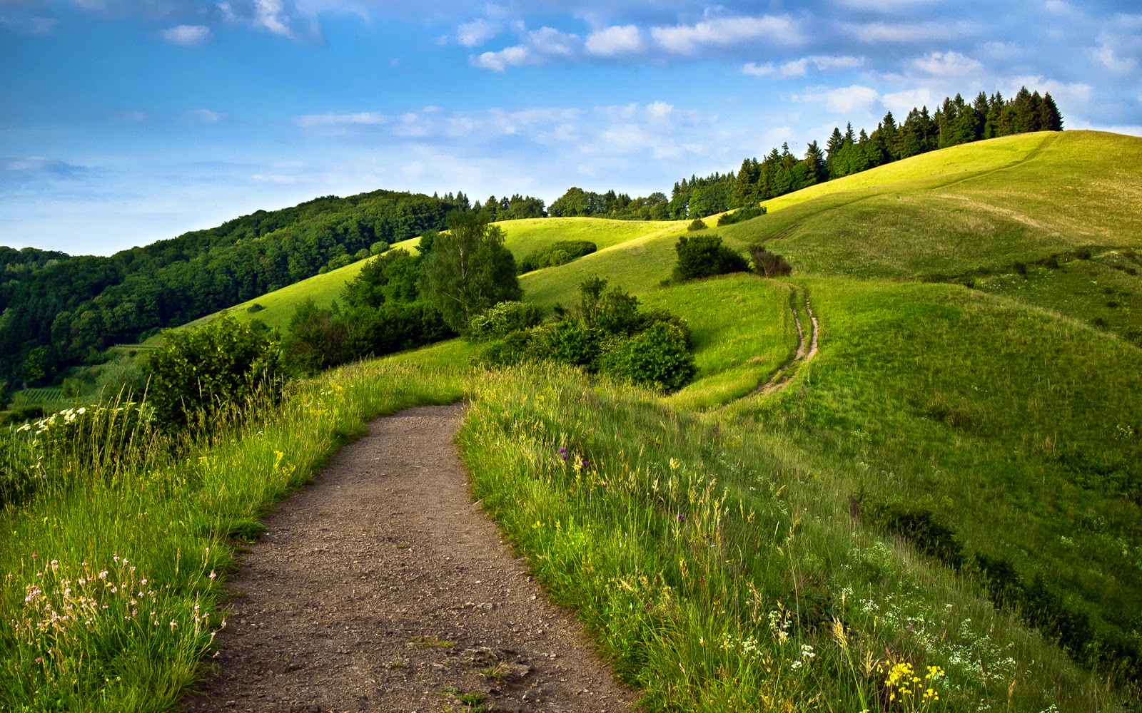 gambar wallpaper herunterladen,natürliche landschaft,natur,wiese,grün,hügel