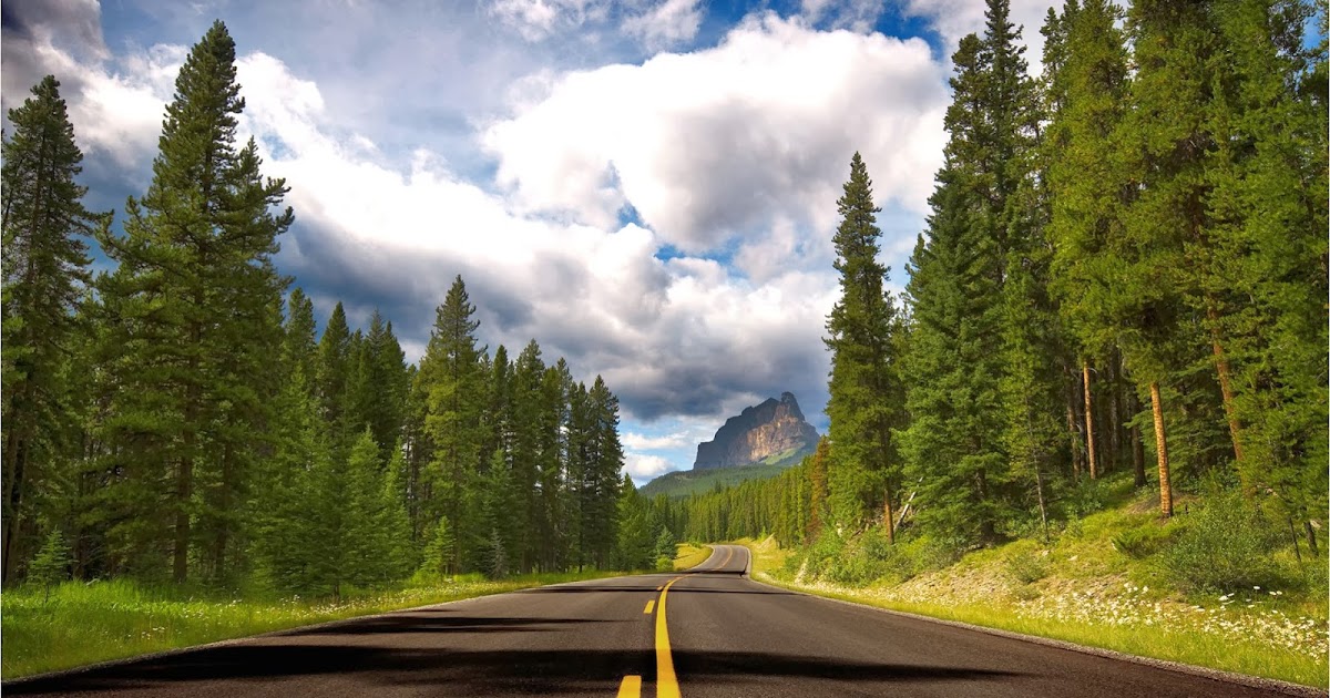 descargar fondo de pantalla de gambar,paisaje natural,la carretera,naturaleza,árbol,cielo