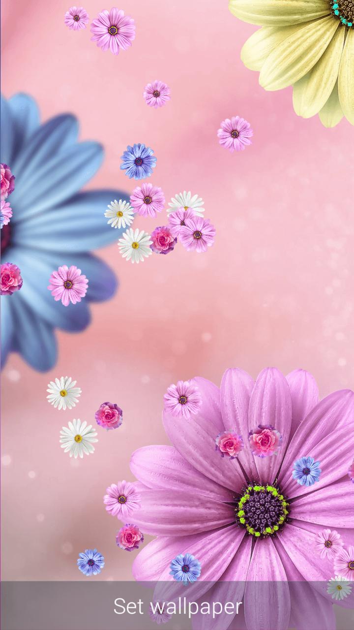 wallpaper bunga bergerak,pink,petal,flower,plant,floral design