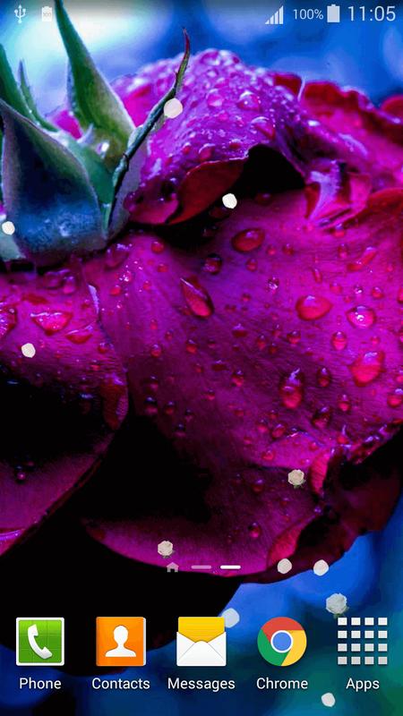 wallpaper bunga bergerak,violet,water,purple,petal,dew