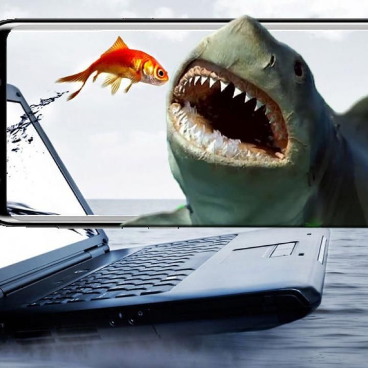 download wallpaper bergerak gratis,fish,shark,great white shark,technology,cartilaginous fish