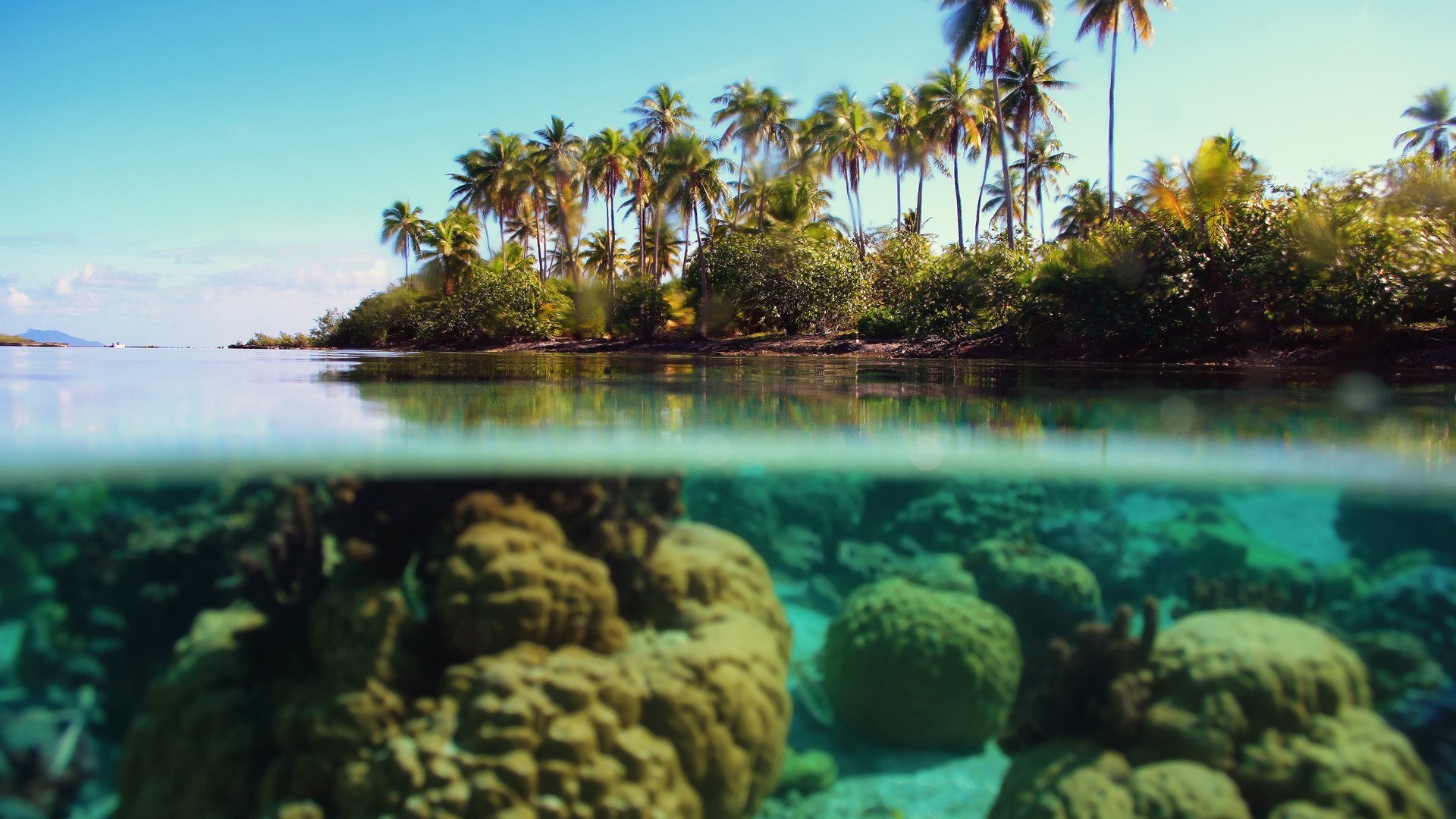 tapetenbilder hd,natur,natürliche landschaft,wasser,baum,wasservorräte