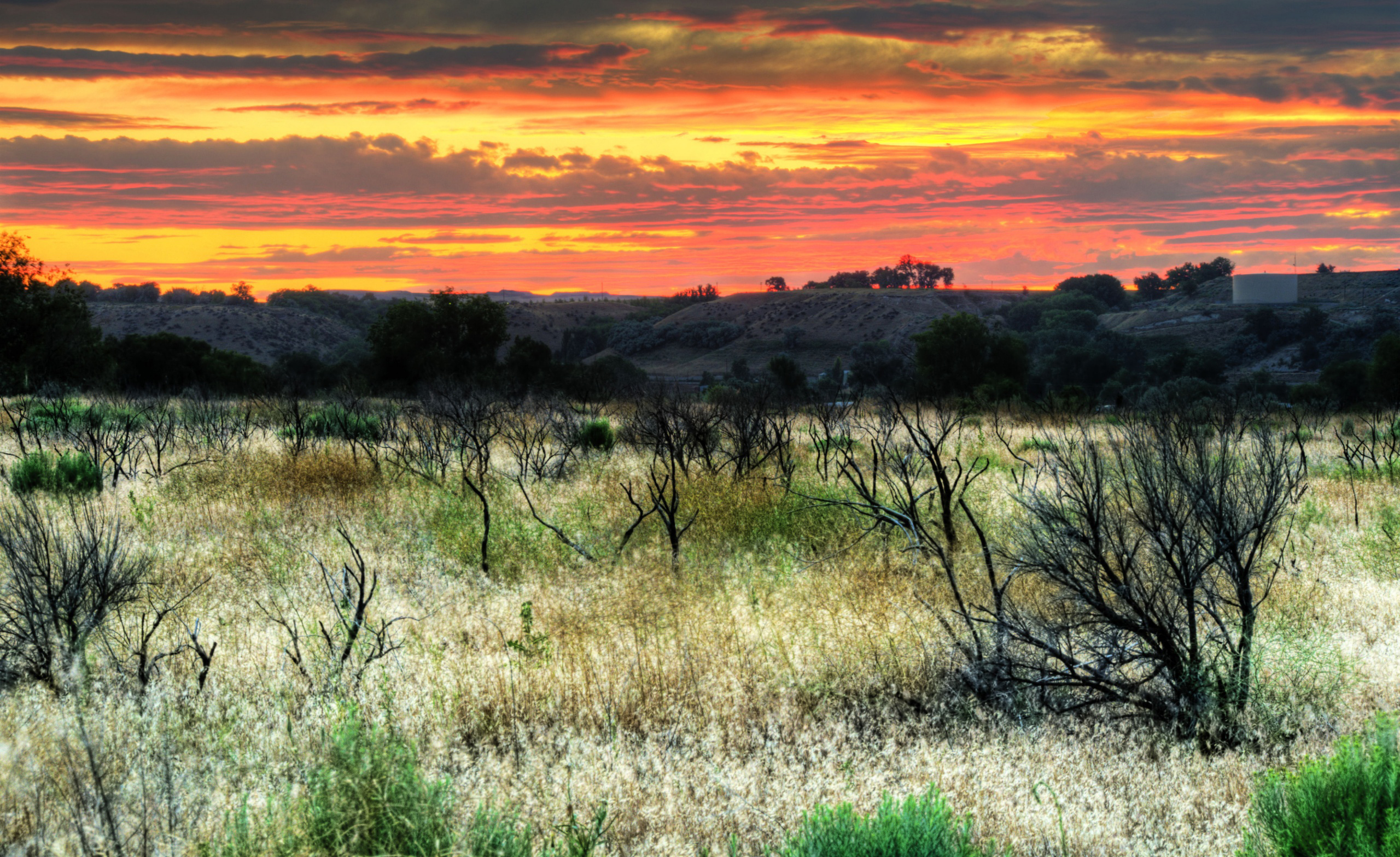 fondos de pantalla fotos hd,paisaje natural,naturaleza,pradera,cielo,césped