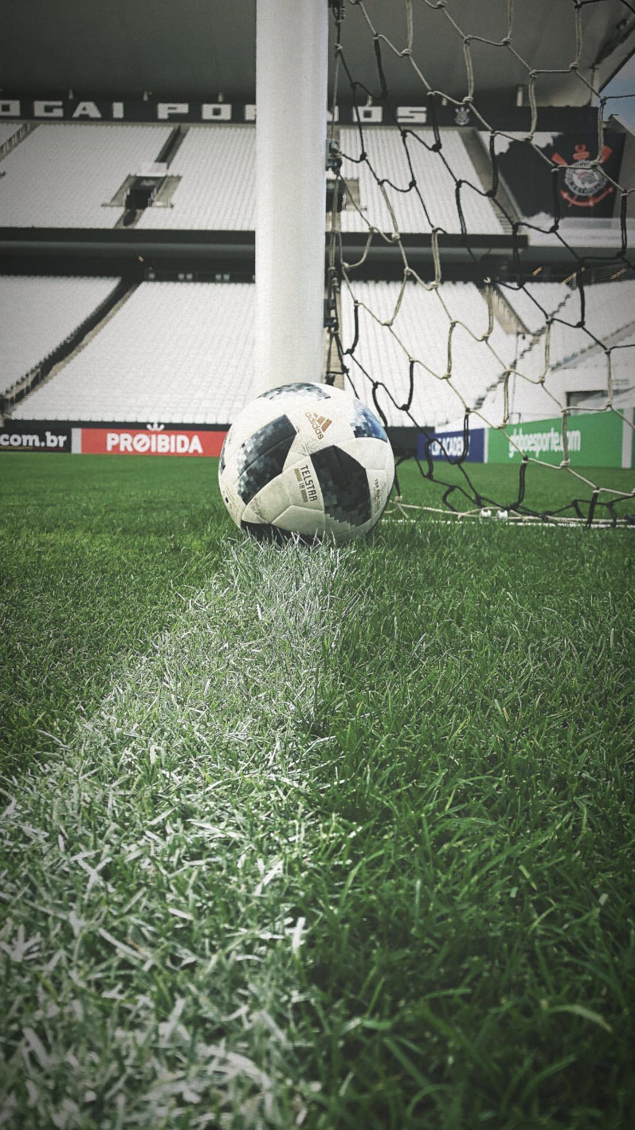 futebol wallpaper,soccer ball,grass,panda,football,ball