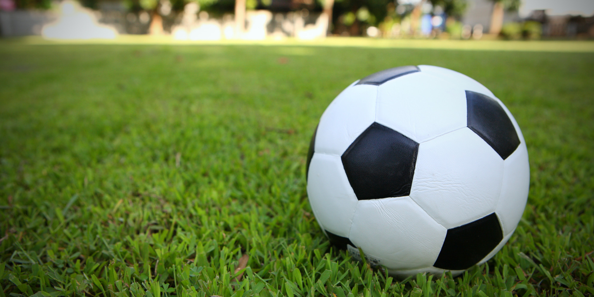 futebol wallpaper,soccer ball,football,ball,grass,soccer