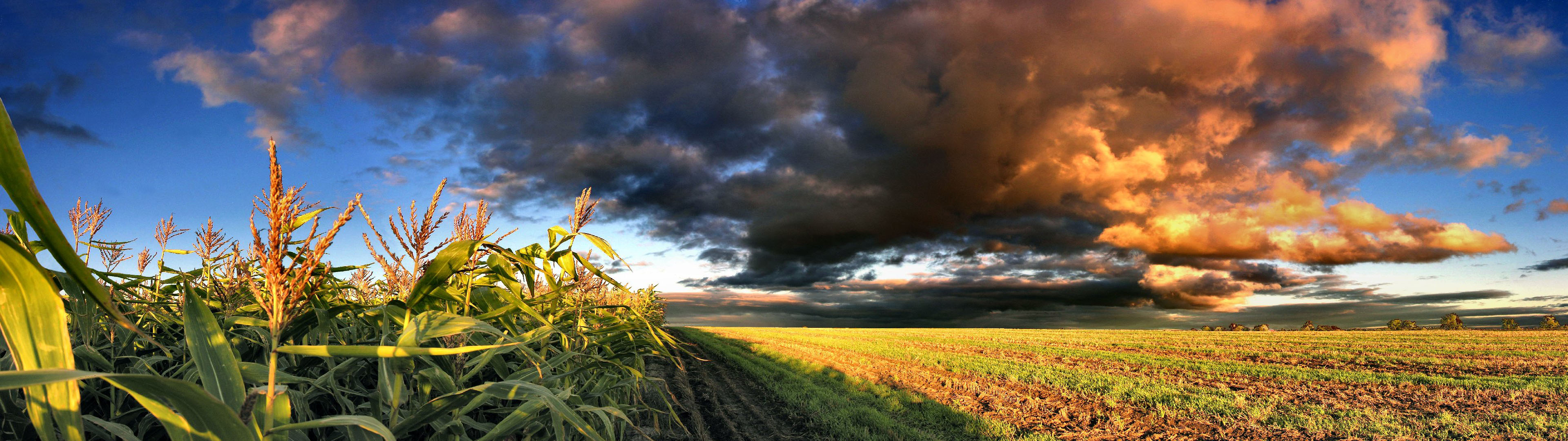 3840x1080 fond d'écran,ciel,paysage naturel,la nature,champ,nuage