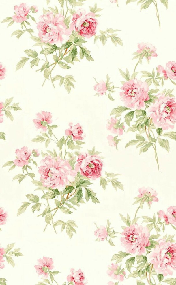 papel pintado shabby chic,rosado,modelo,diseño floral,flor,planta