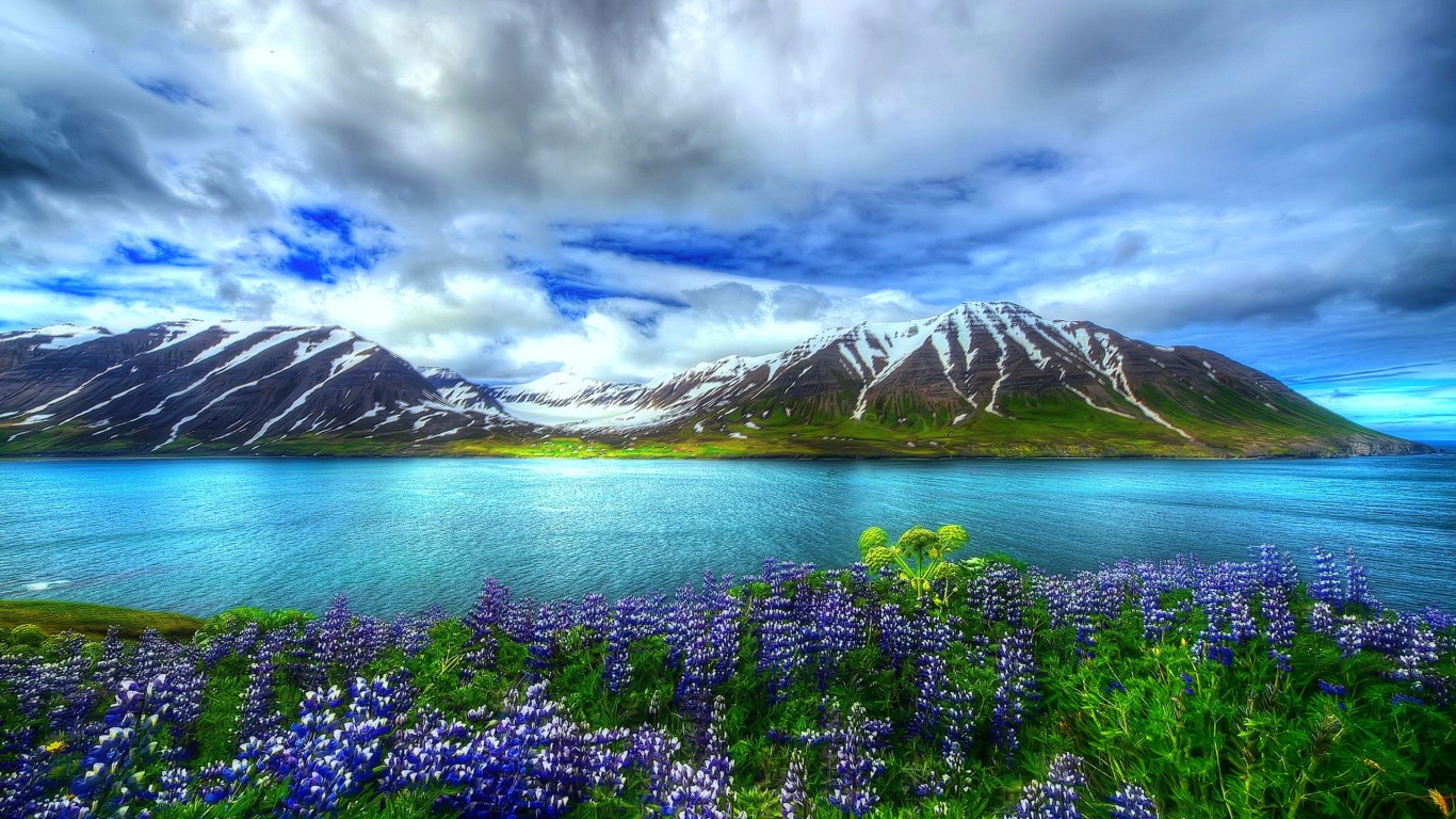 hermosas imágenes de fondo de pantalla,paisaje natural,naturaleza,montaña,cielo,flor silvestre