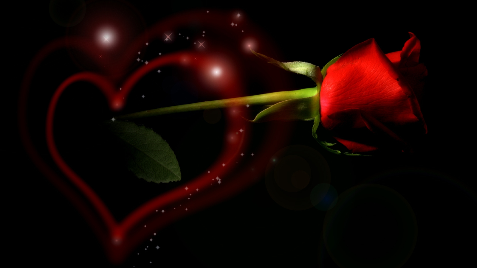 nuovo sfondo d'amore,rosso,macrofotografia,nero,cuore,san valentino