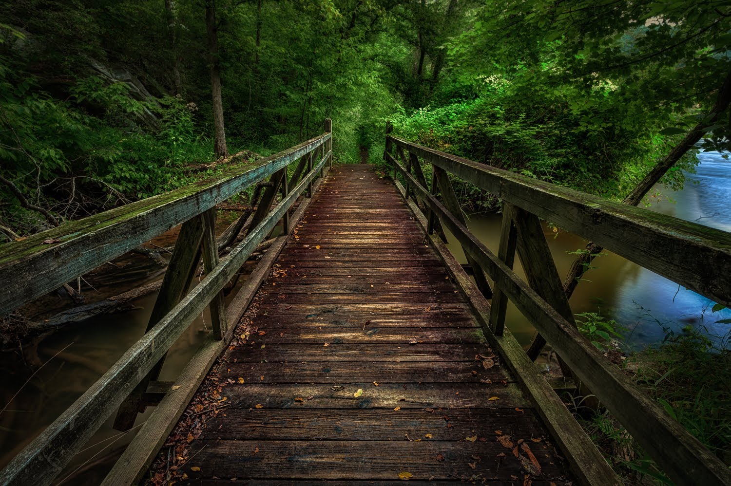 papier peint photographie,la nature,pont,arbre,paysage naturel,jungle