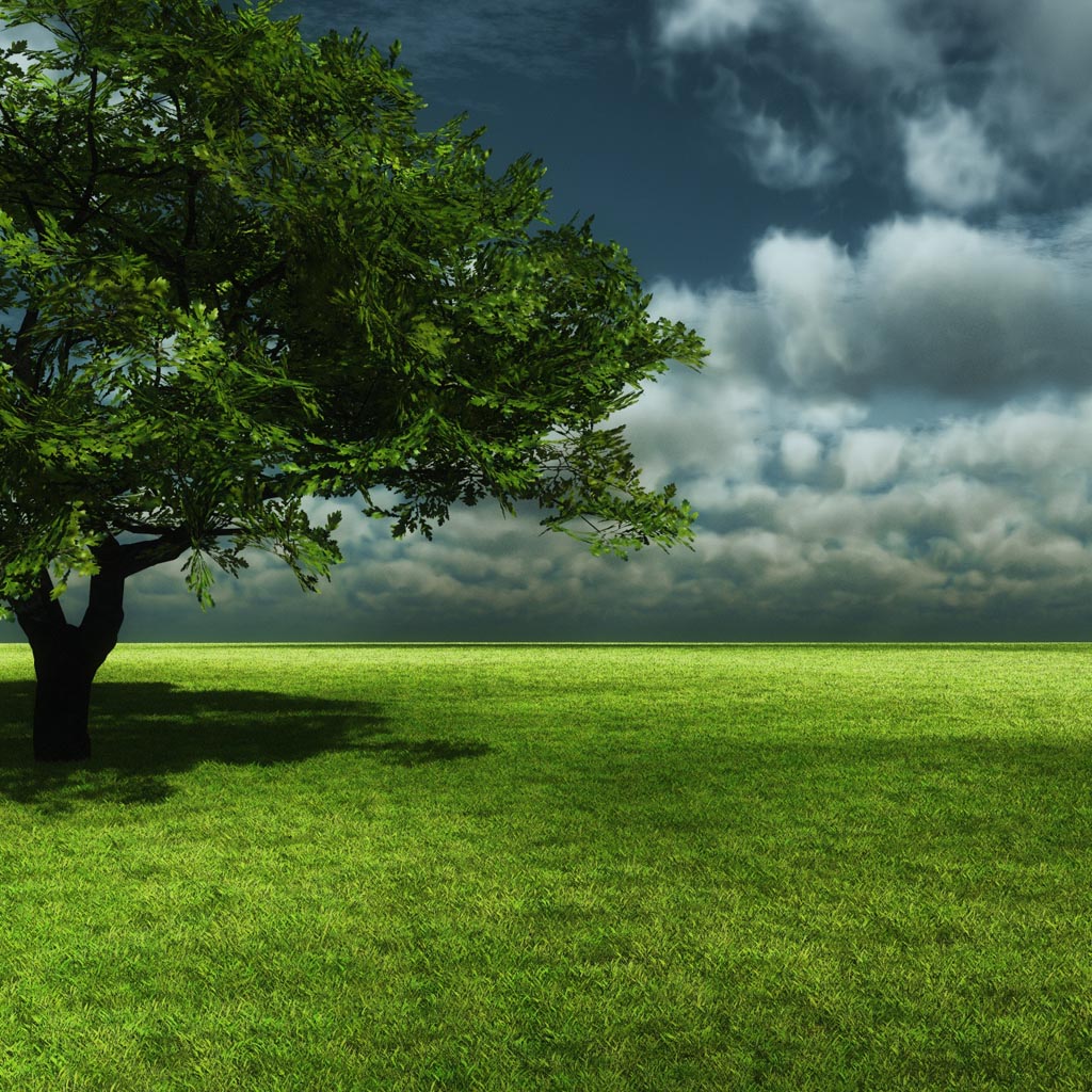 緑の自然の壁紙,自然の風景,緑,自然,草原,木