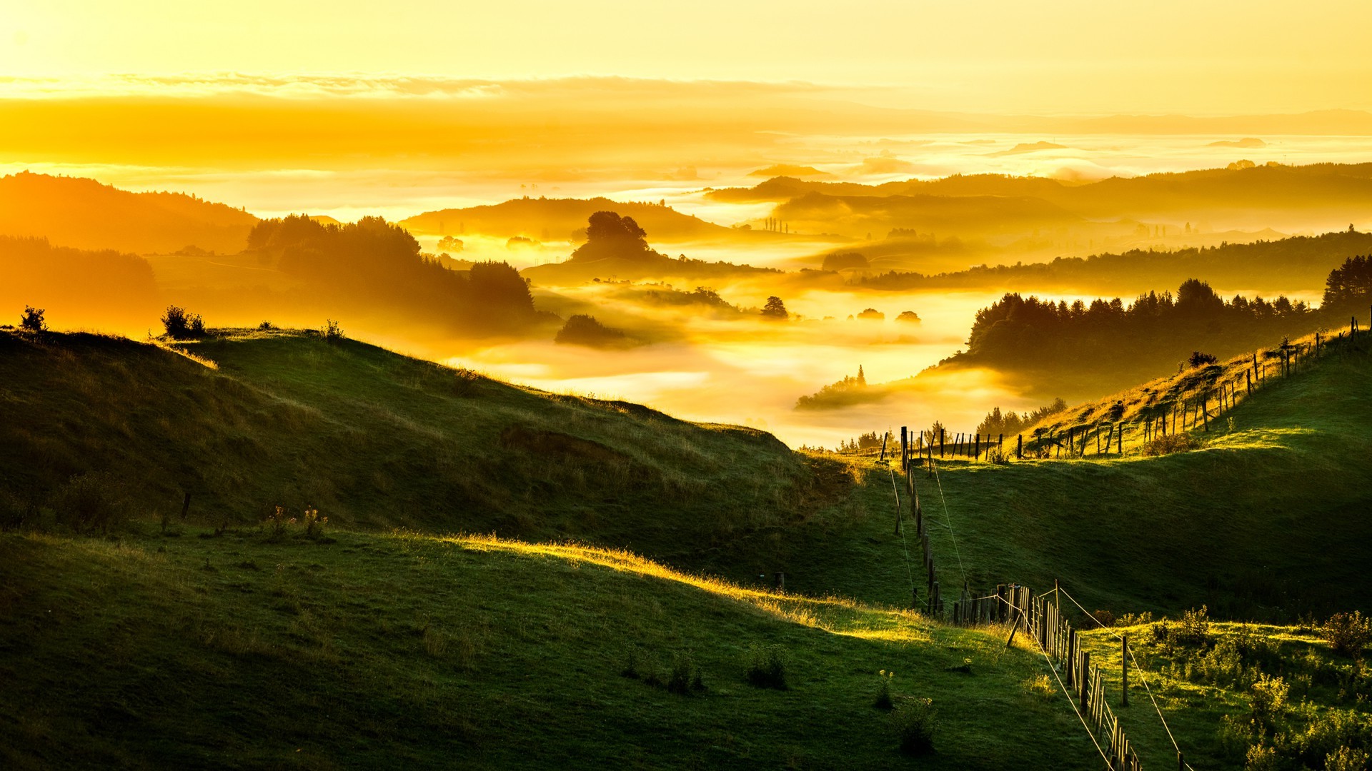 nuevo fondo de pantalla de la naturaleza,naturaleza,cielo,paisaje natural,colina,mañana