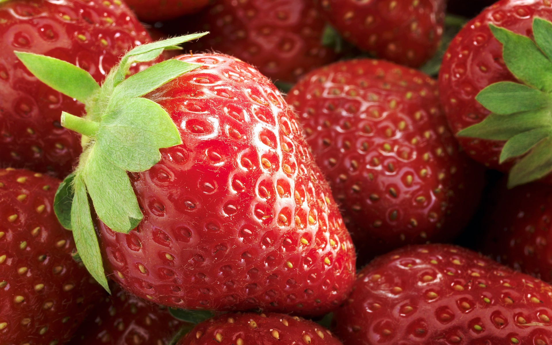 fresh wallpaper,natural foods,strawberry,strawberries,fruit,frutti di bosco