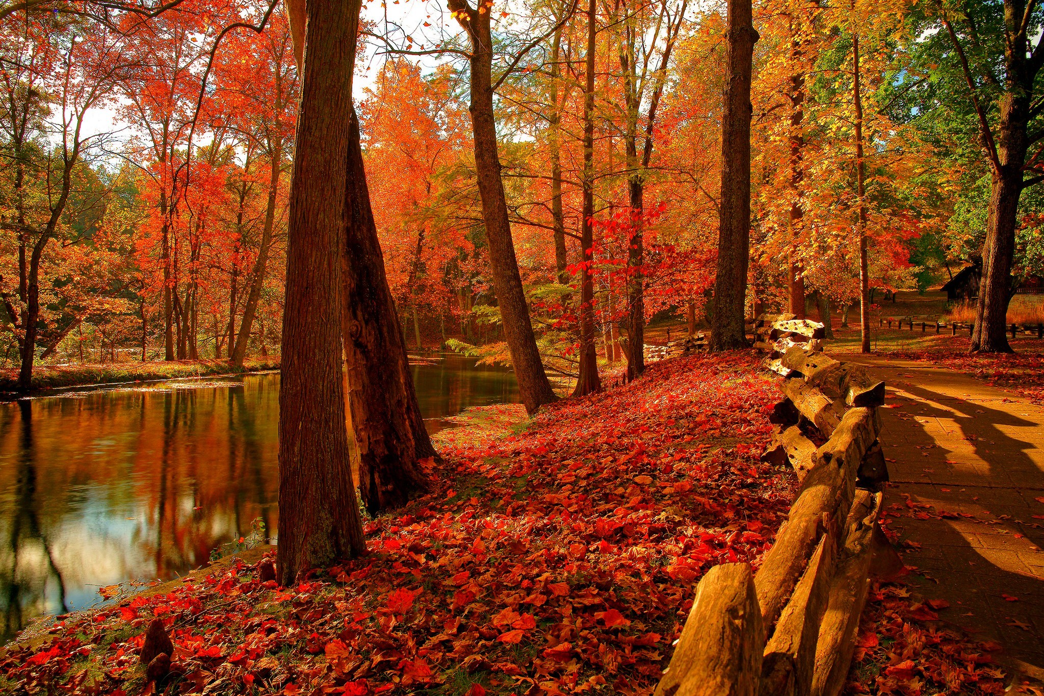 Осень. Красивые осенние снимки. Осенний лес парк. Красивая осень. Красота осени.