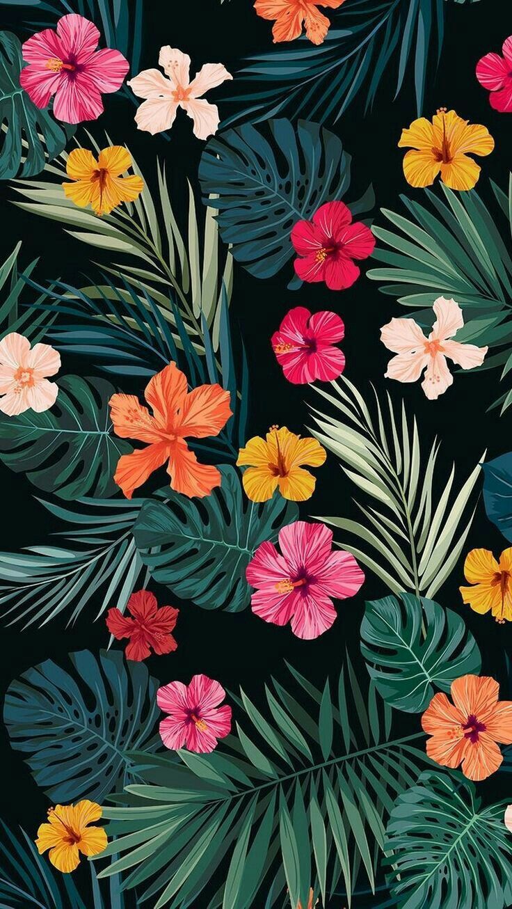 폰 도스 바탕 화면,하와이 히비스커스,꽃,무늬,식물,프르 메리아