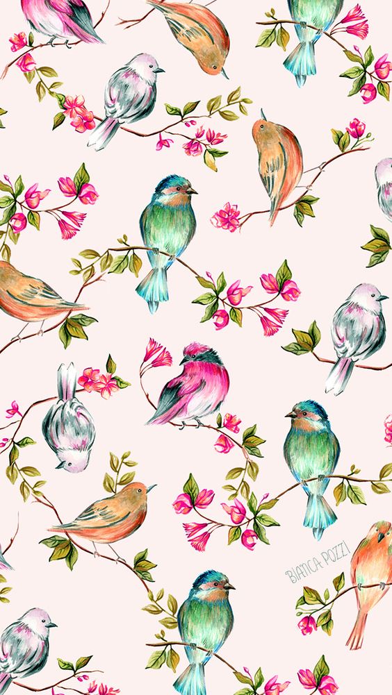 imagens wallpaper,bird,clip art,pattern,plant,wrapping paper