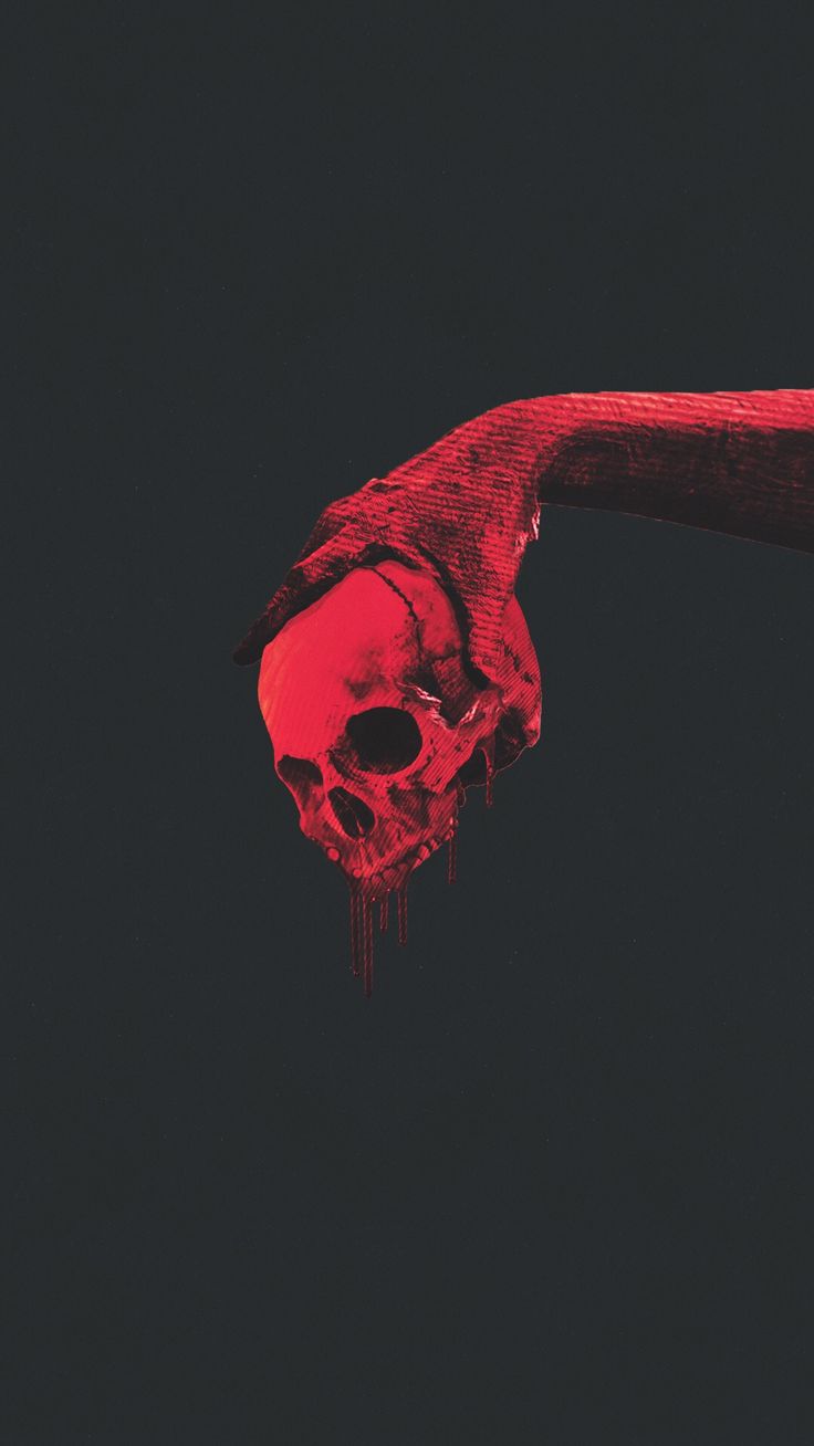 fondos wallpaper,red,skull,water,bone,photography