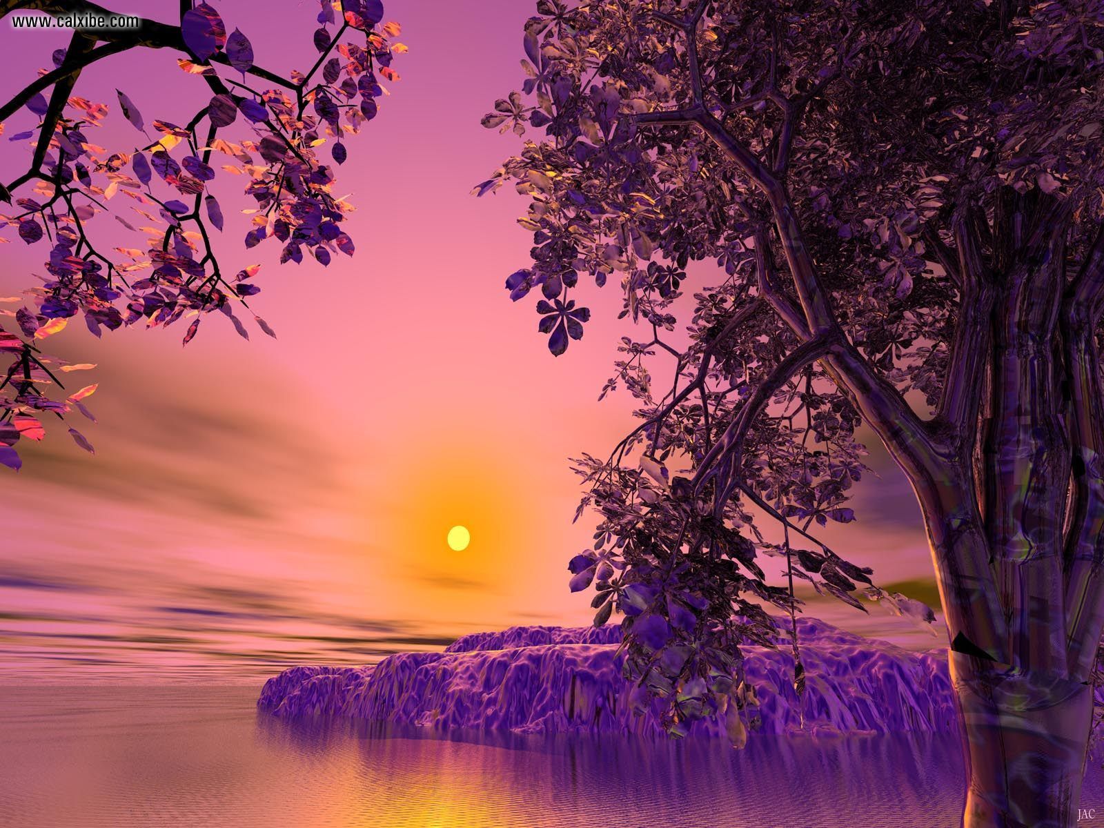 imagens wallpaper,nature,natural landscape,sky,purple,tree