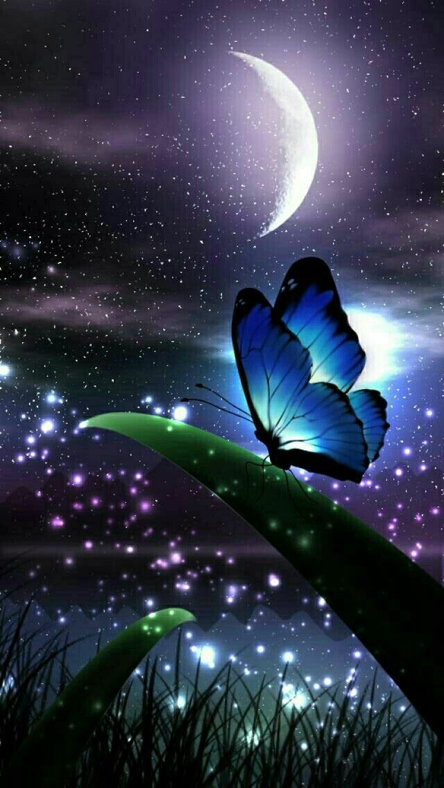 imagenes de wallpaper,sky,butterfly,insect,moths and butterflies,space