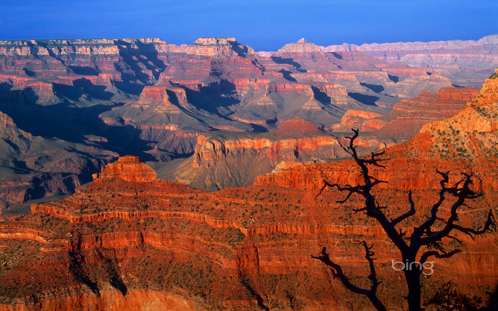 imagenes de wallpaper,badlands,paysage naturel,la nature,formation,canyon