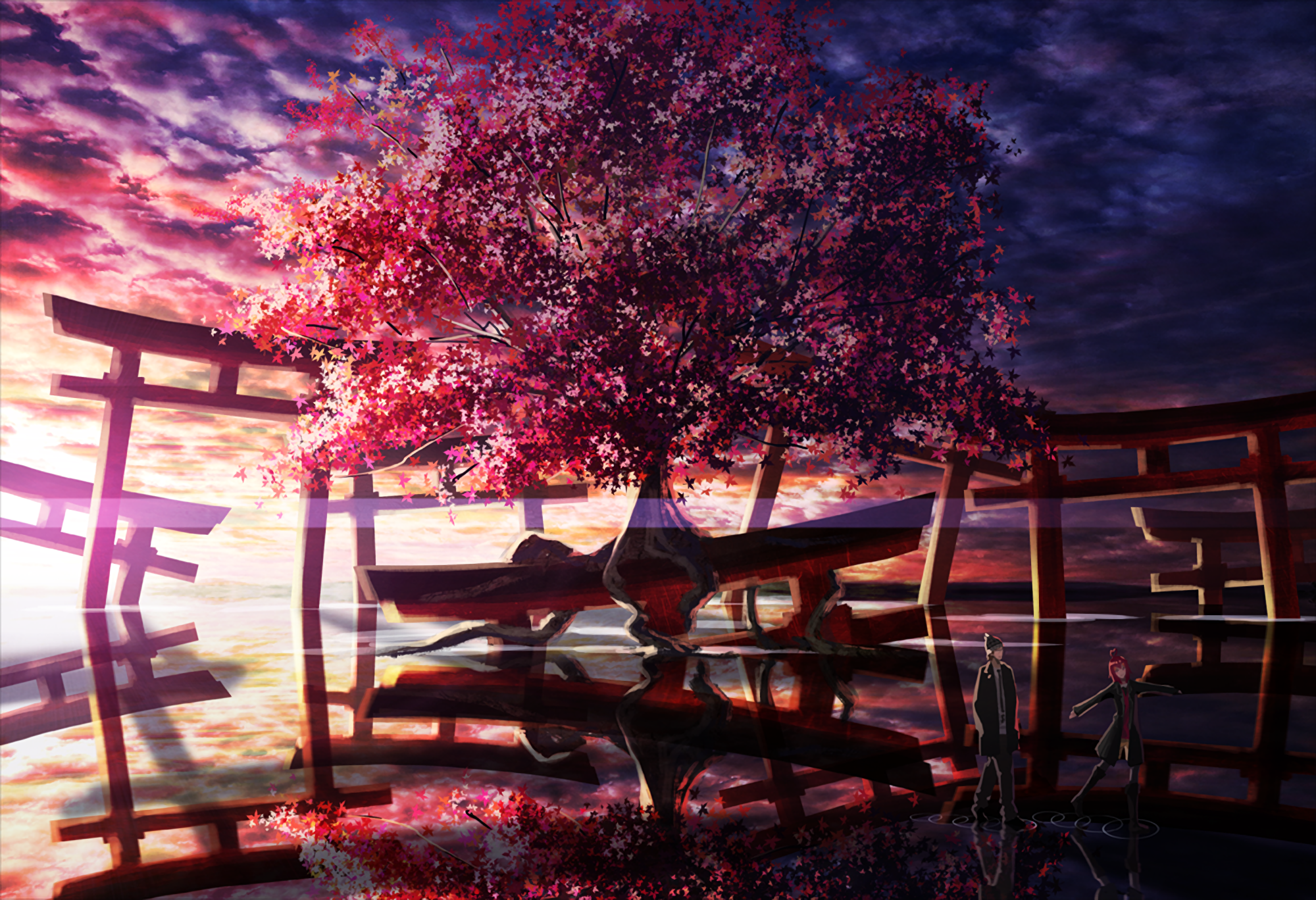 imagenes de wallpaper,la nature,ciel,rouge,violet,arbre