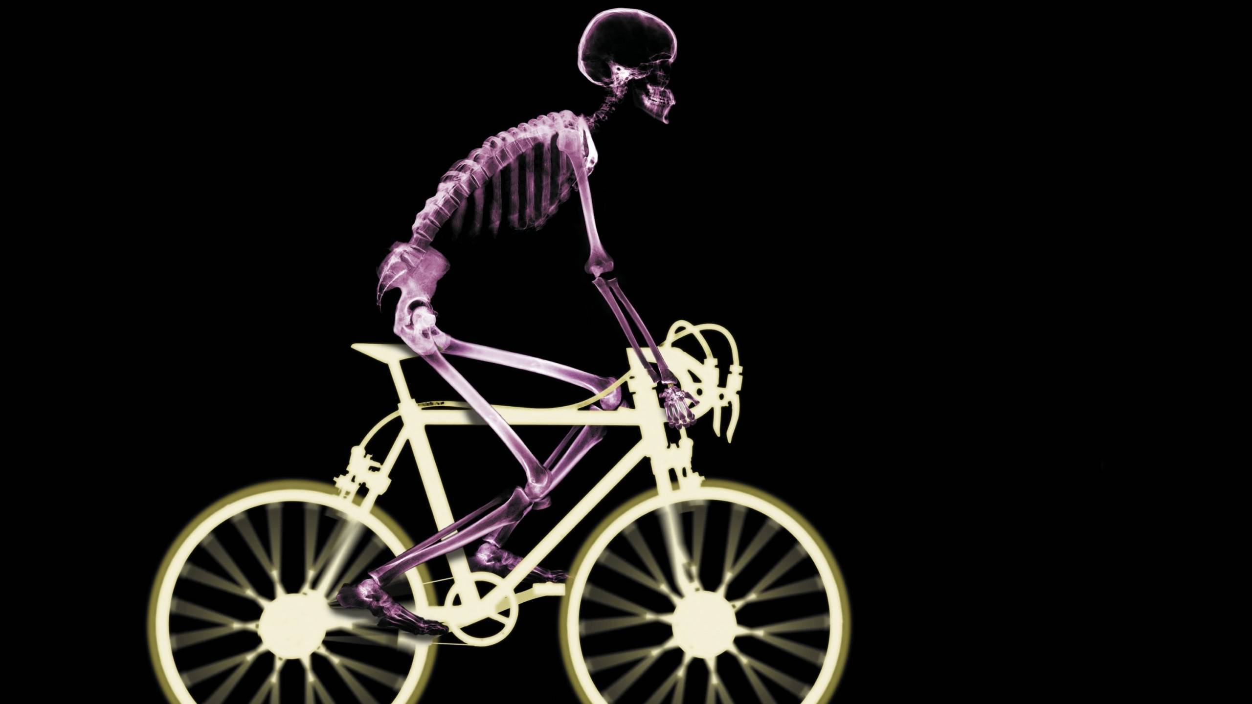 배경 화면 hd 파라 pc,육상 차량,자전거,차량,자전거 바퀴,사이클링