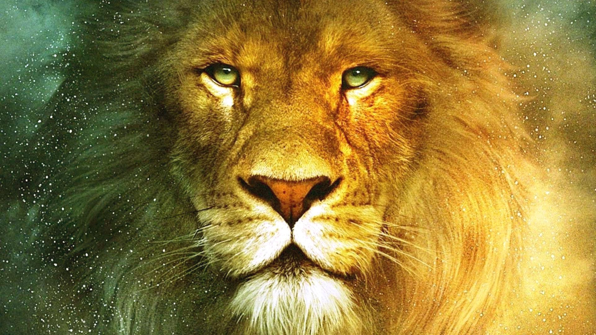 fondos de pantalla hd para pc,león,fauna silvestre,masai lion,cabello,felidae
