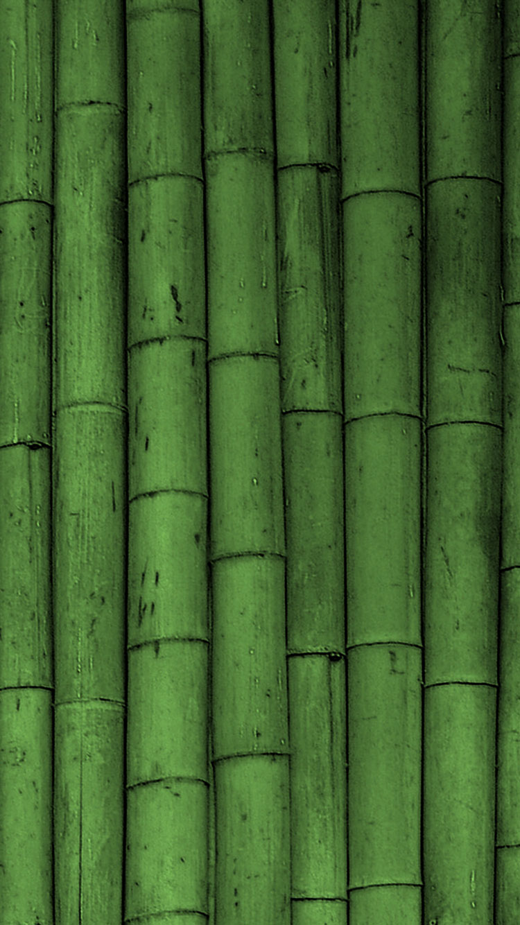 grünes iphone wallpaper,grün,blatt,bambus,gras,holz