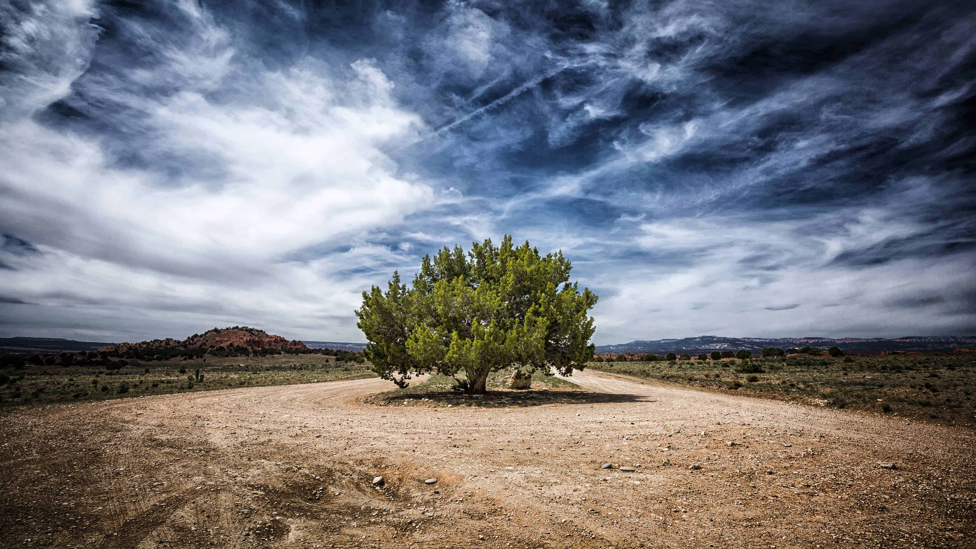 3840x2160 hintergrundbild,himmel,natürliche landschaft,baum,natur,wolke