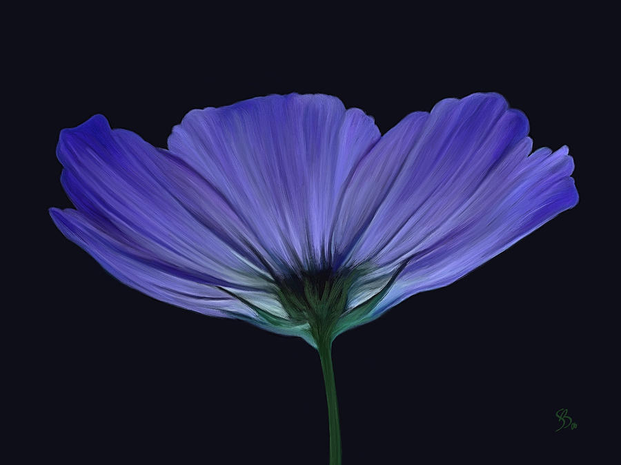 papel pintado con letras grandes,flor,planta floreciendo,pétalo,púrpura,violeta