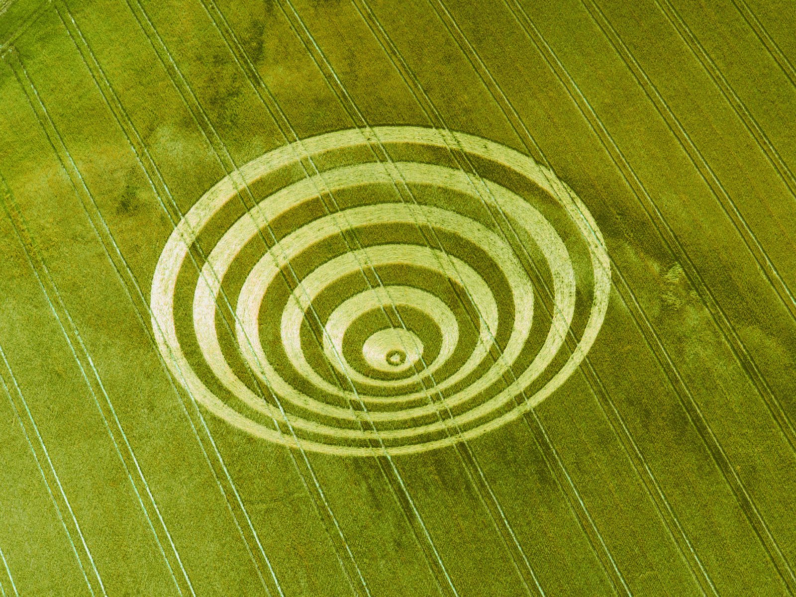 crop wallpaper,green,circle,spiral,leaf,pattern