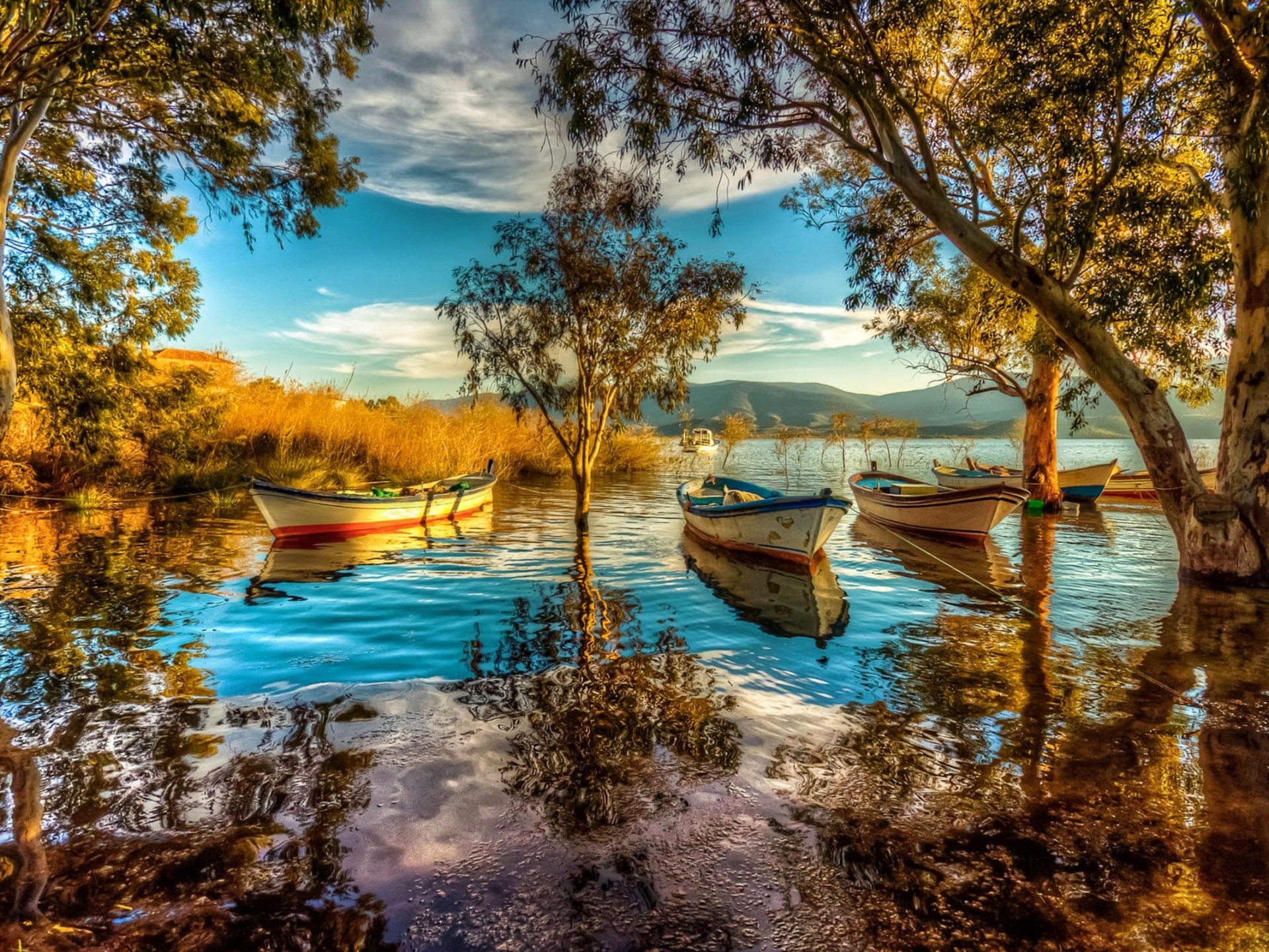 carta da parati di qualità hd,paesaggio naturale,natura,riflessione,cielo,riva