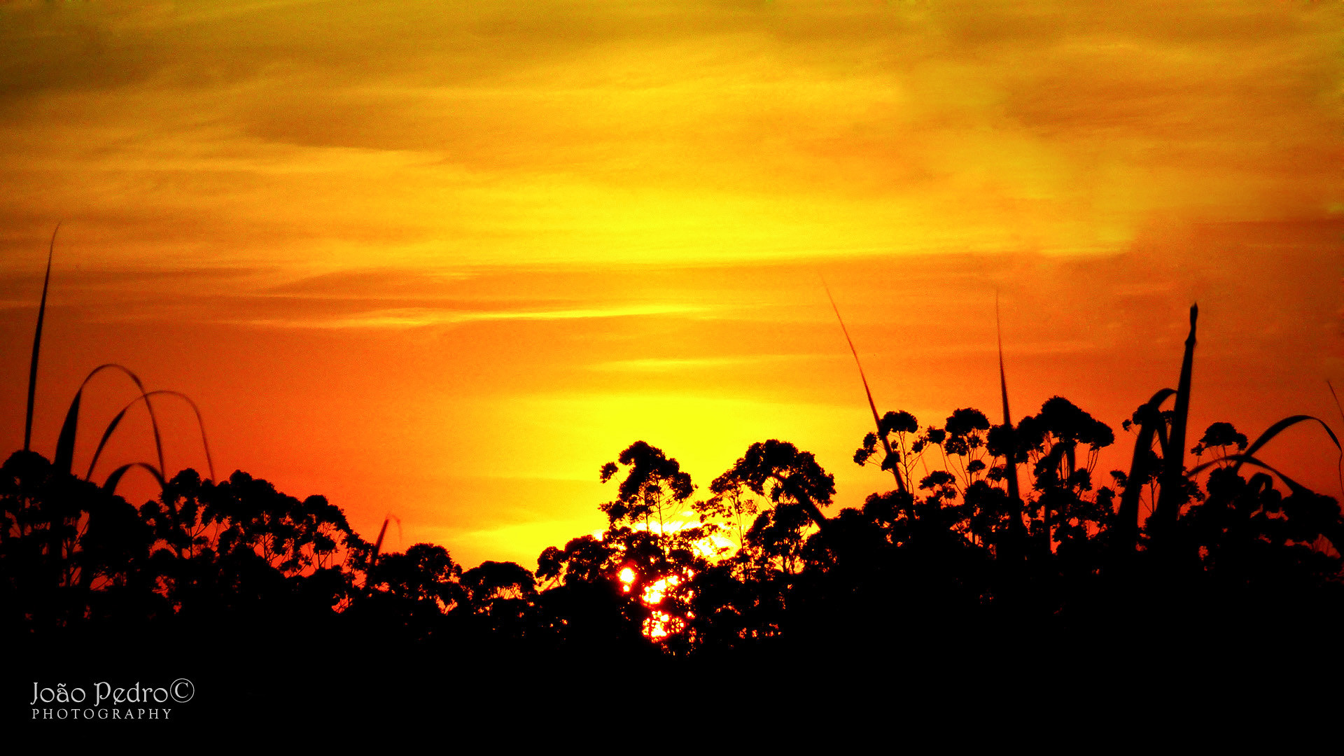 fondo de pantalla de calidad hd,cielo,resplandor crepuscular,puesta de sol,amanecer,cielo rojo en la mañana