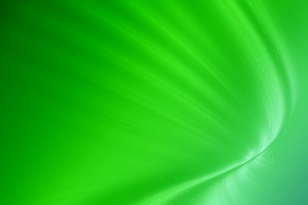 wallpaper verde,green,leaf,plant,banana leaf,macro photography