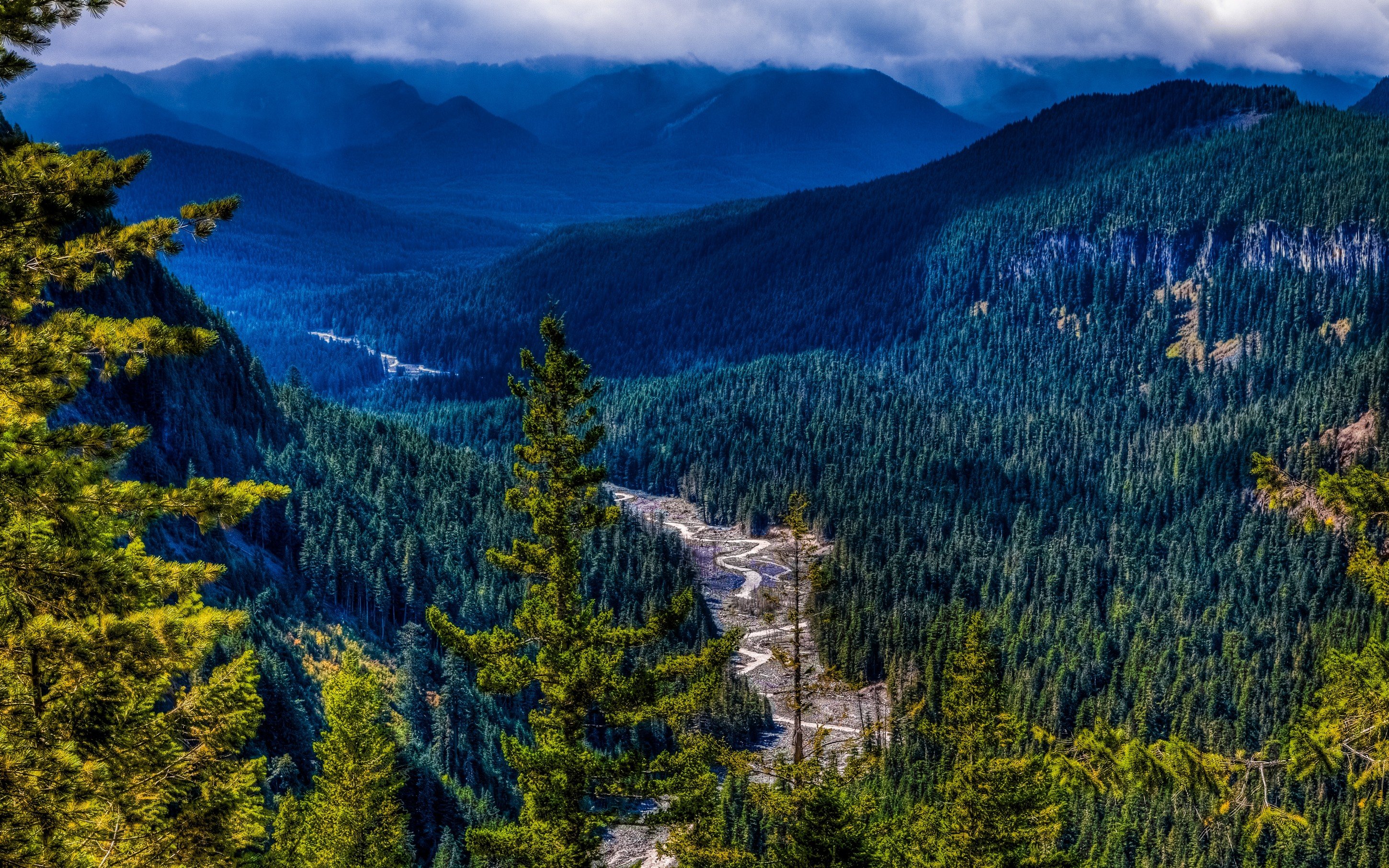 wallpaper naturaleza,mountainous landforms,larix lyalliisubalpine larch,natural landscape,nature,mountain