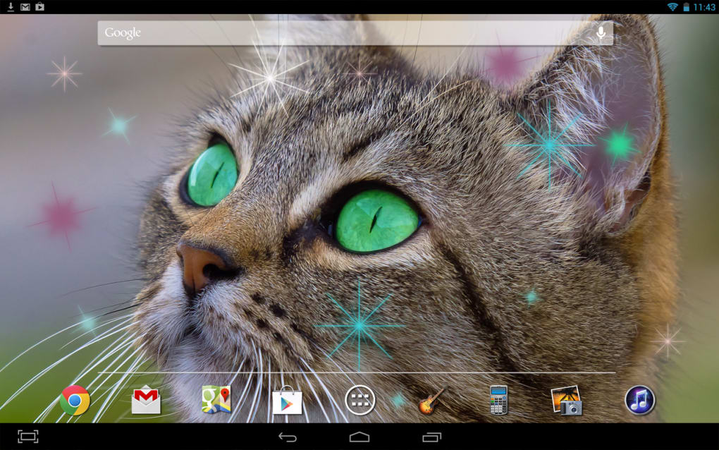 katze live wallpaper,katze,schnurrhaare,kleine bis mittelgroße katzen,felidae,schnauze