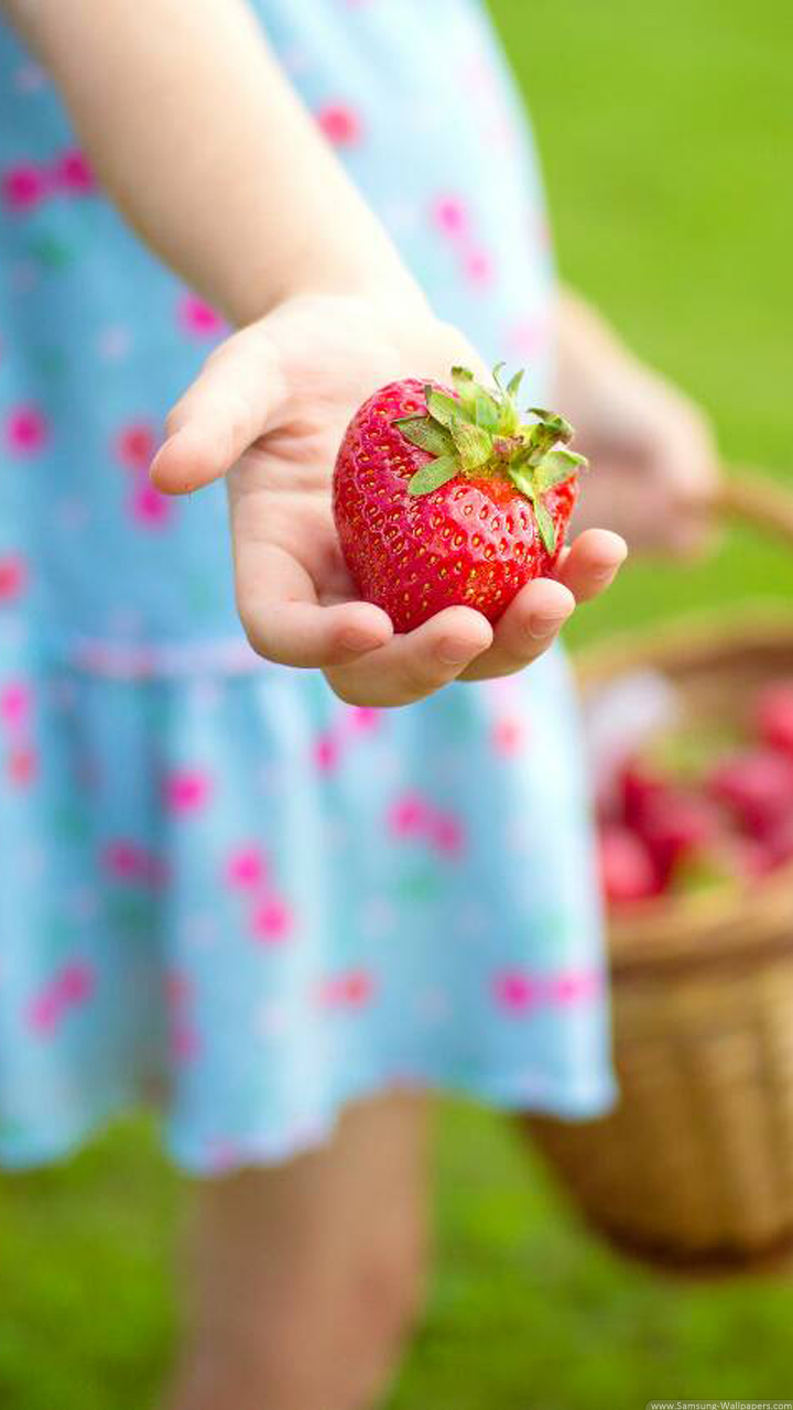 lg g3 wallpaper,strawberry,strawberries,pink,fruit,finger