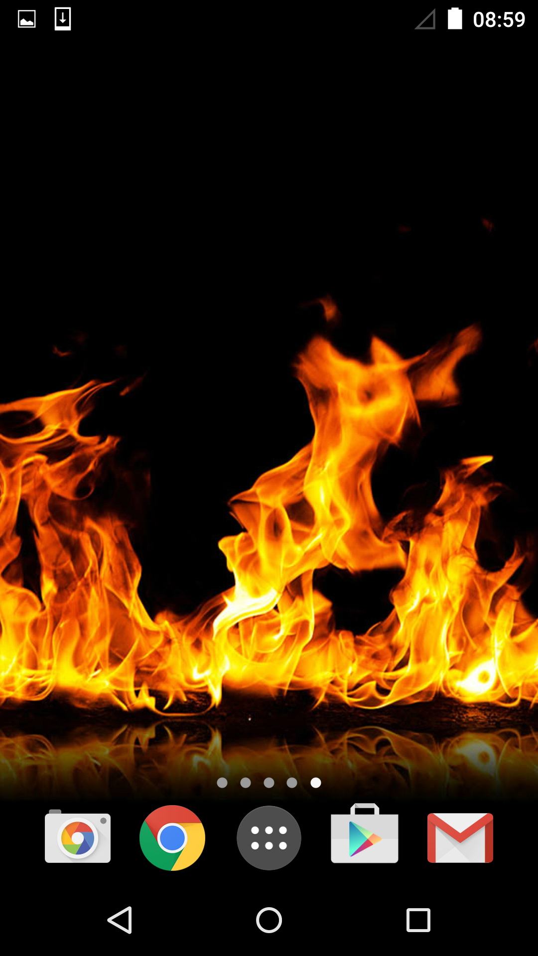 화재 라이브 배경 화면,불꽃,불,열,폰트,모닥불