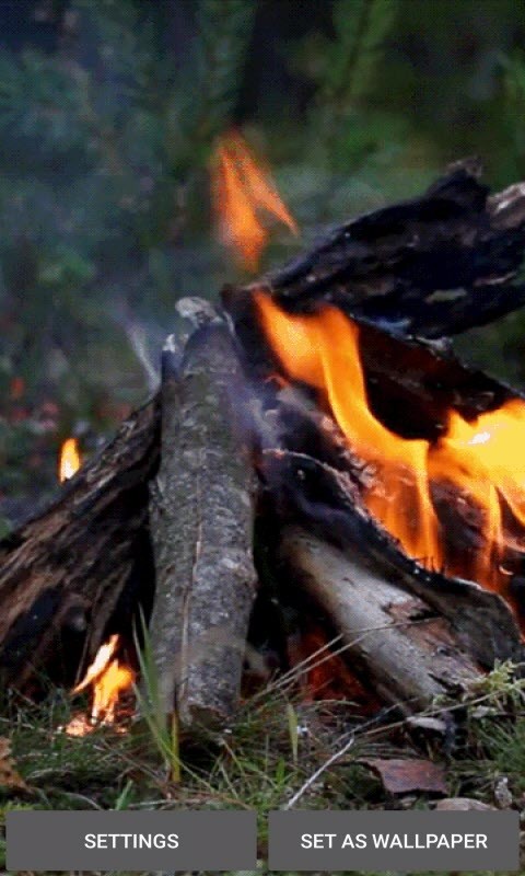 feu fond d'écran en direct,feu,feu de camp,feu,flamme,chaleur