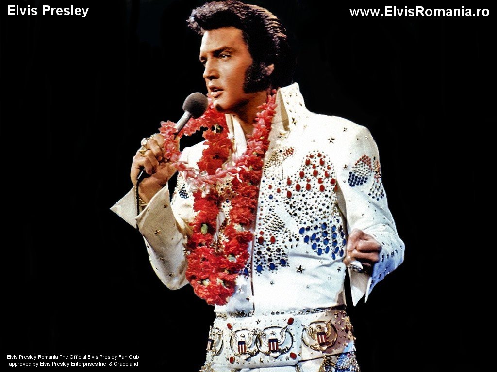 elvis wallpaper,elvis impersonator,music artist,performance,music,human