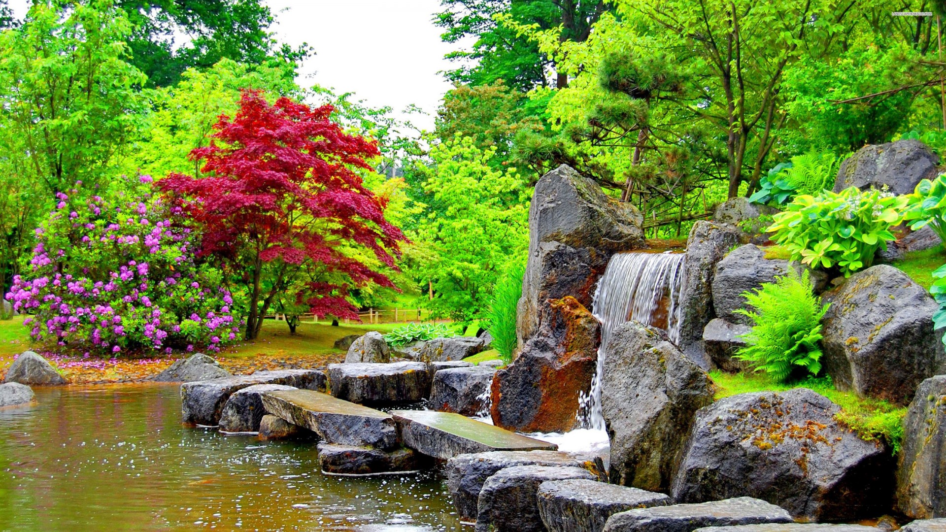 park wallpaper,natürliche landschaft,natur,baum,wasserlauf,teich