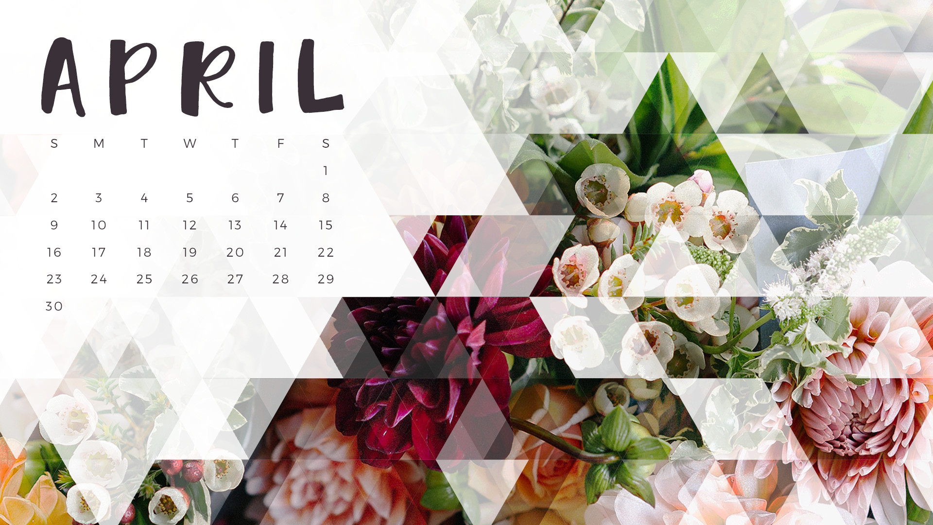 april wallpaper,flower,plant,petal,cuisine,recipe